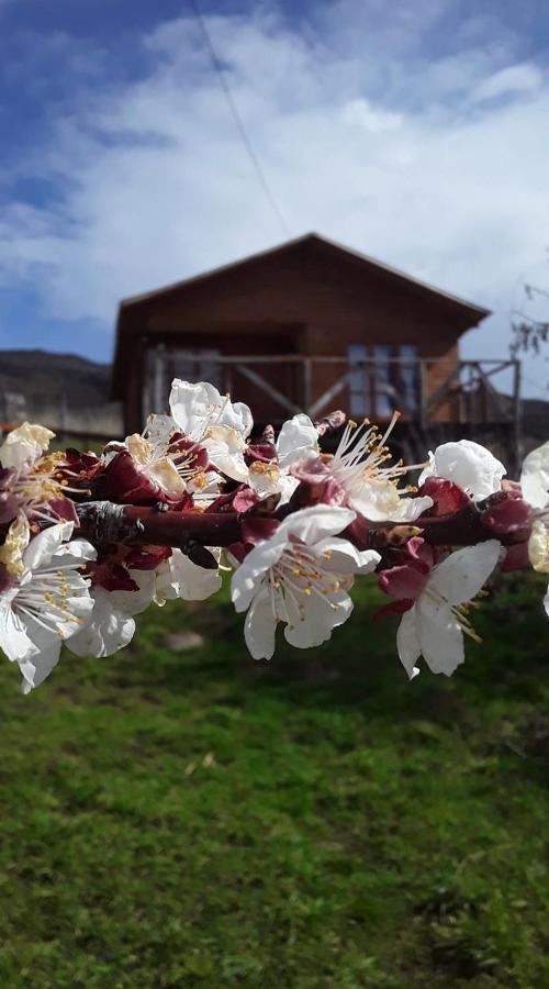 Sol De La Patagonia Bed and Breakfast Puerto Guadal Εξωτερικό φωτογραφία